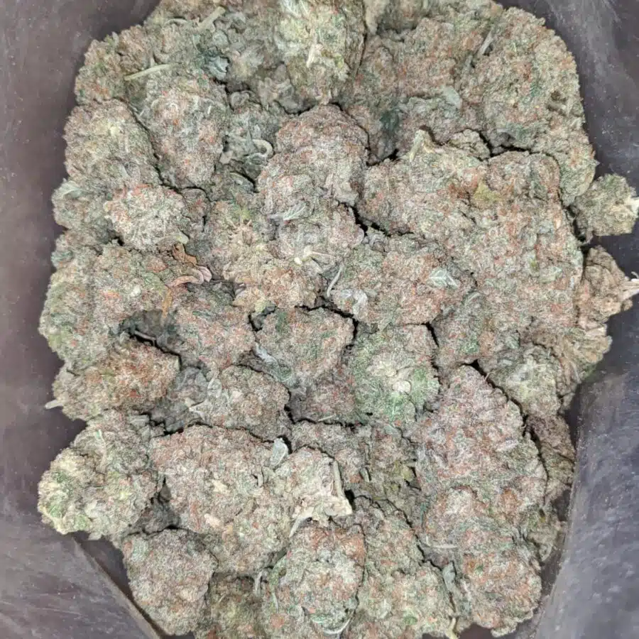fruit cup 3 I $ 57 Oz - Fruit Cup