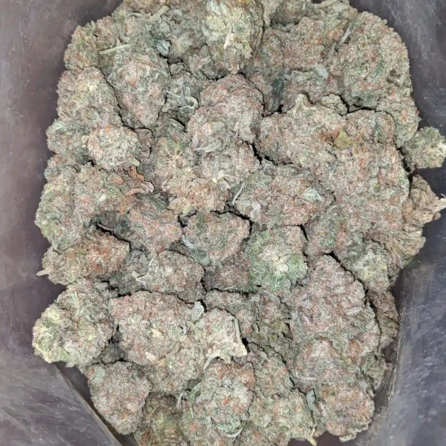 fruit cup 4 I $ 57 Oz - Fruit Cup