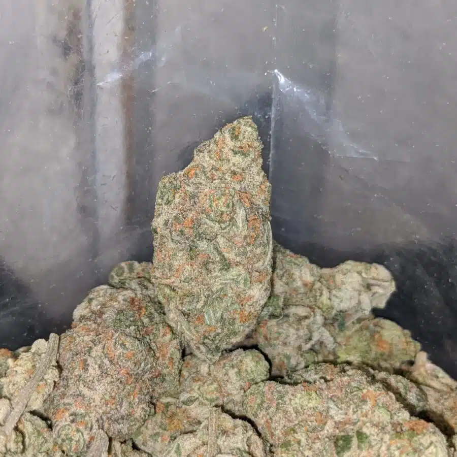 fruit roll up 4 I Fruit Roll Up