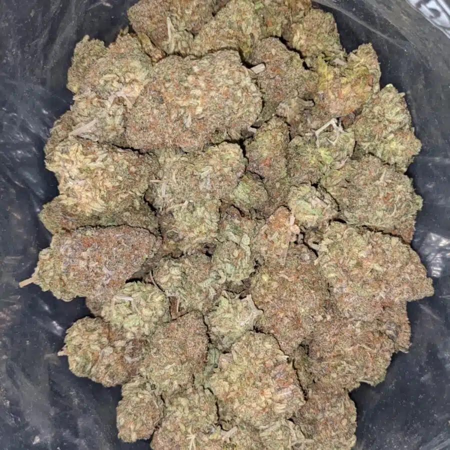 gruntz og 1 I Gruntz OG