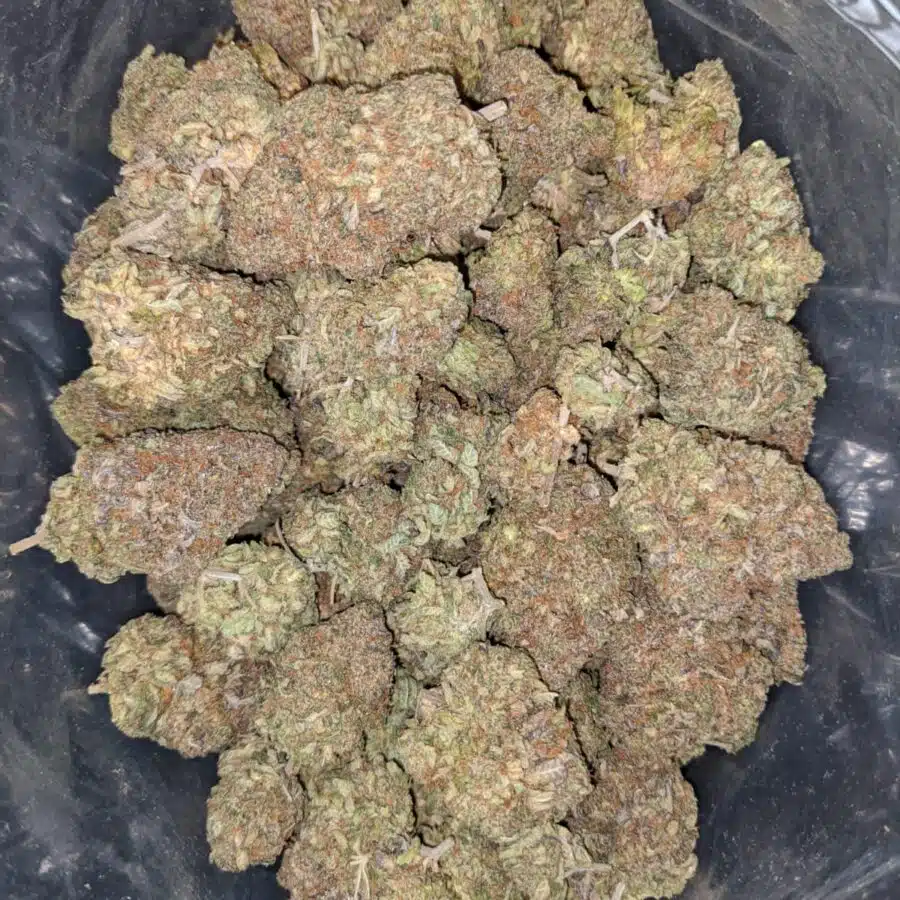gruntz og 3 I Gruntz OG