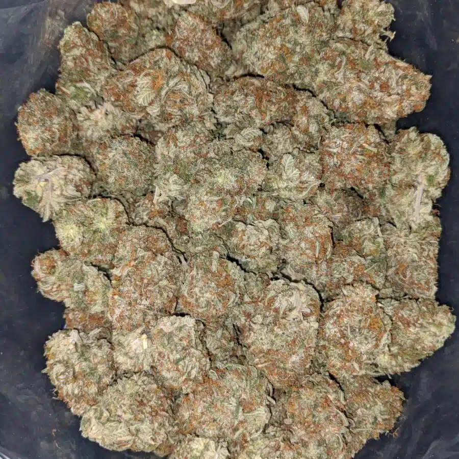 incredible 1 I $ 61 Oz - Incredible