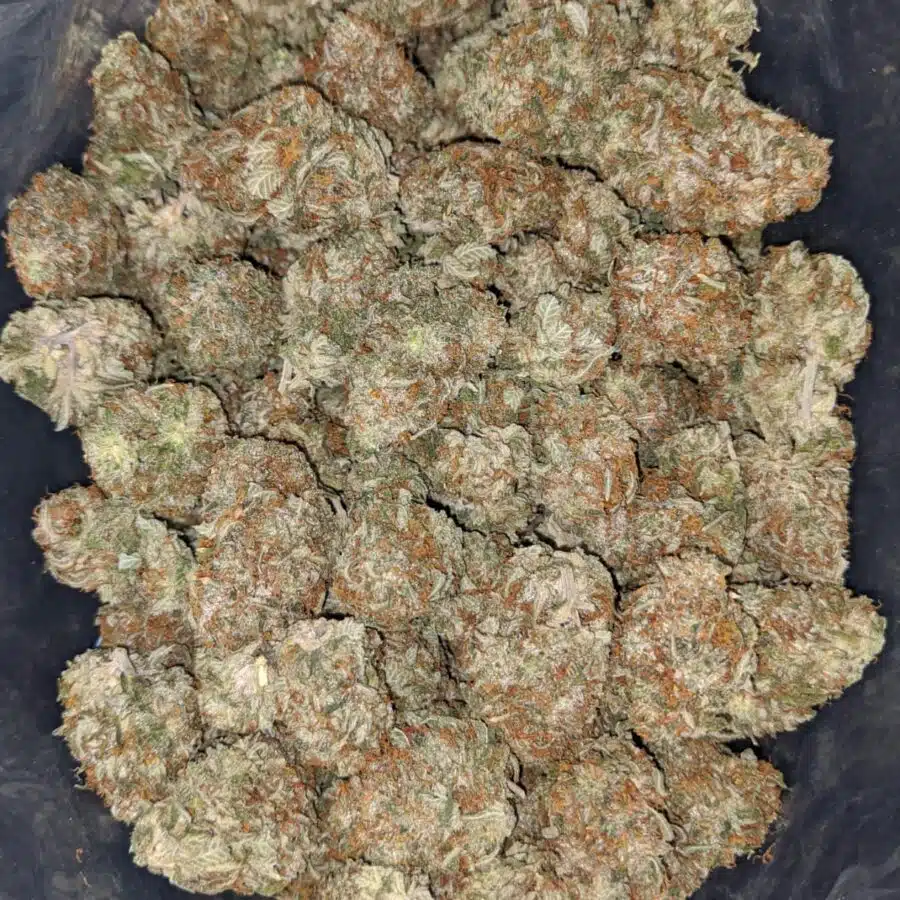 incredible 2 I $ 61 Oz - Incredible