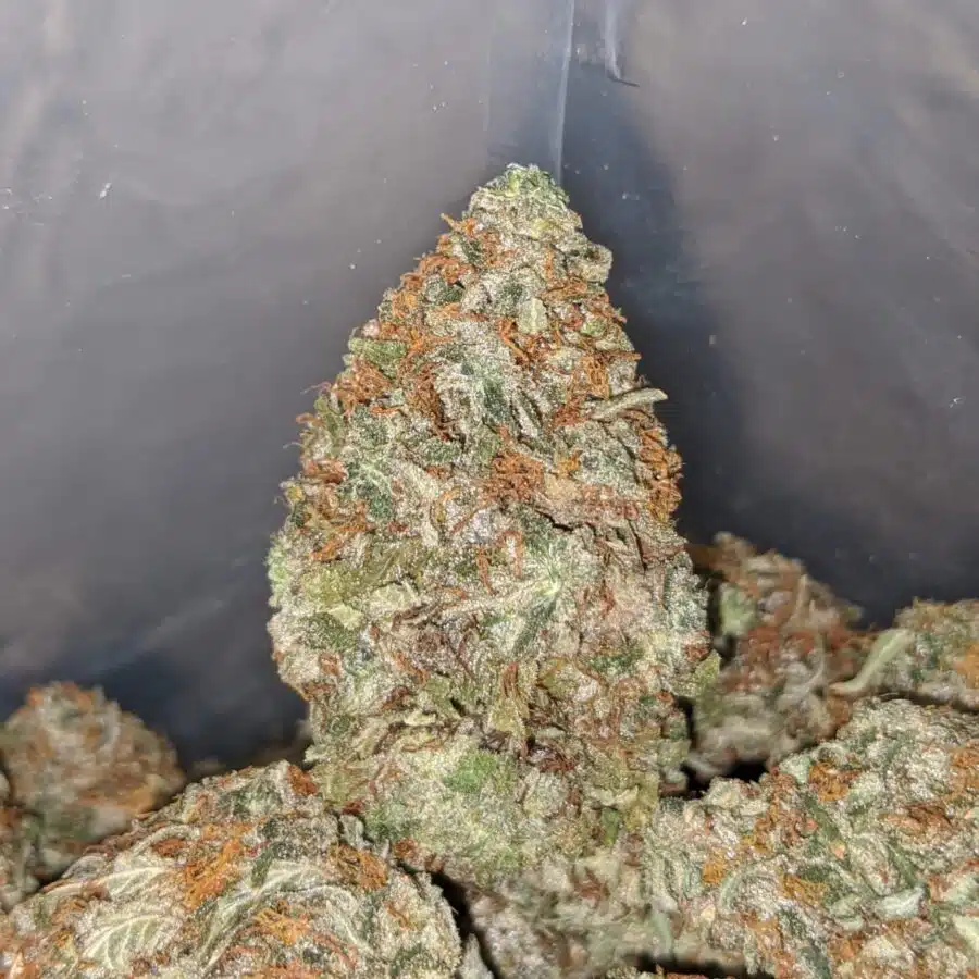 incredible 3 I $ 61 Oz - Incredible