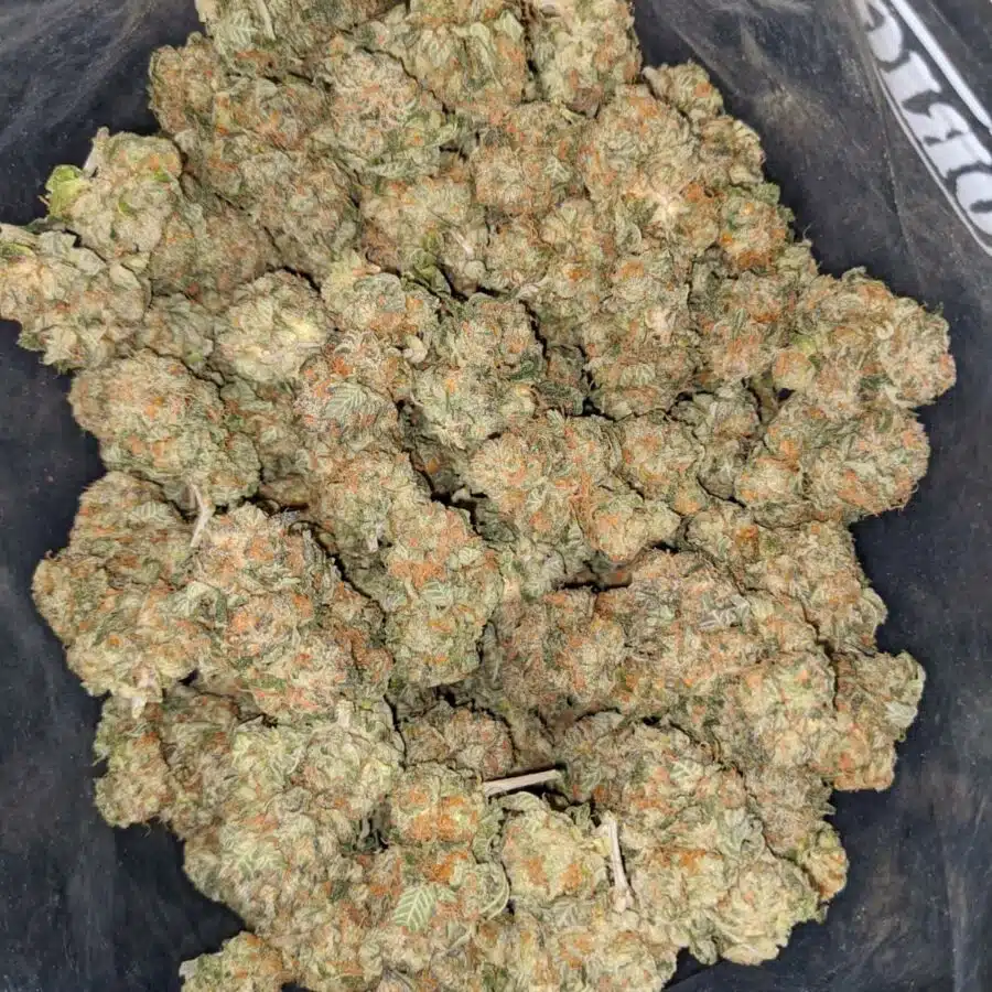 master yoda og 1 I Master Yoda OG