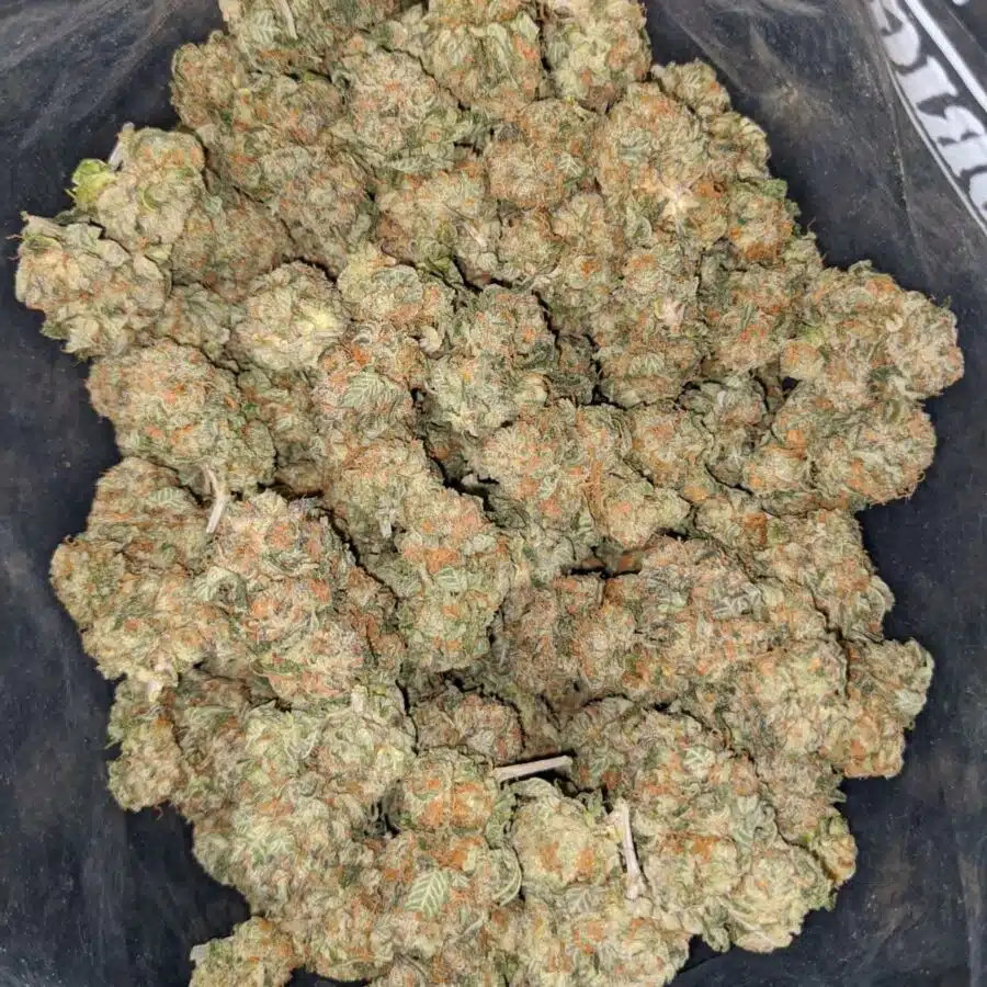 master yoda og 2 I Master Yoda OG