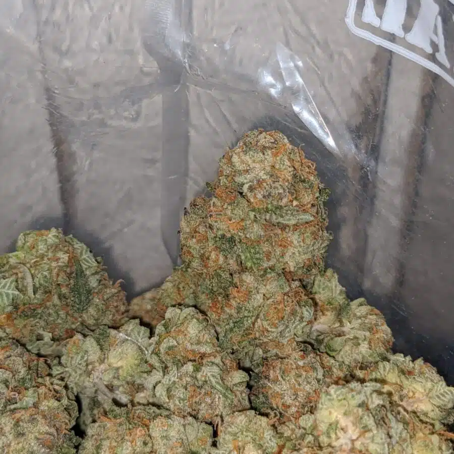 master yoda og 3 I Master Yoda OG
