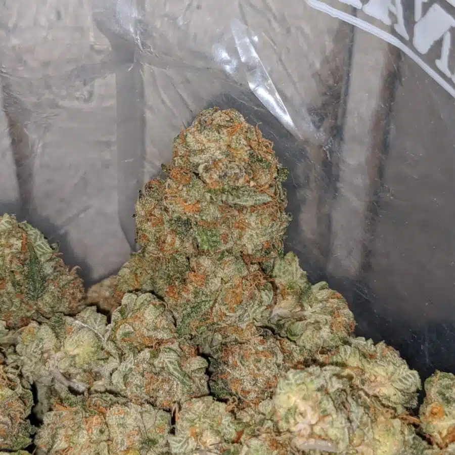 master yoda og 4 I Master Yoda OG