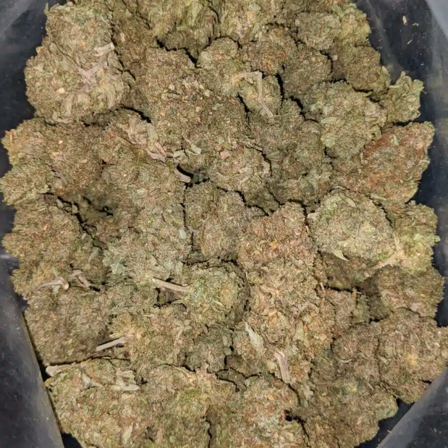 og wreck deal of the day 1 I OG Wreck - *Deal Of The Day*