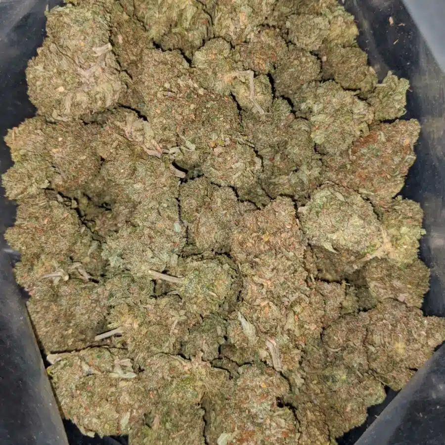 og wreck deal of the day 2 I OG Wreck - *Deal Of The Day*