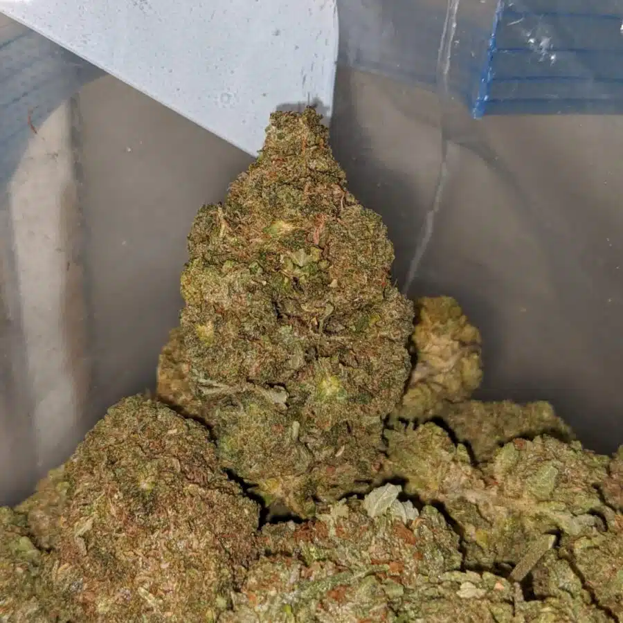 og wreck deal of the day 3 I OG Wreck - *Deal Of The Day*