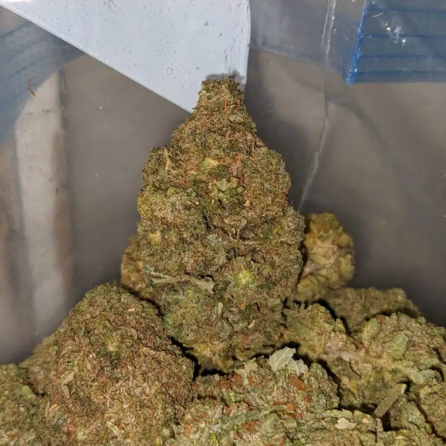 og wreck deal of the day 4 I OG Wreck - *Deal Of The Day*