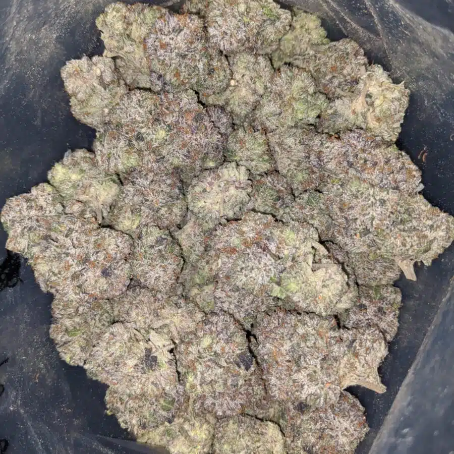 pink death aaaa 2 I $ 147 Oz - Pink Death