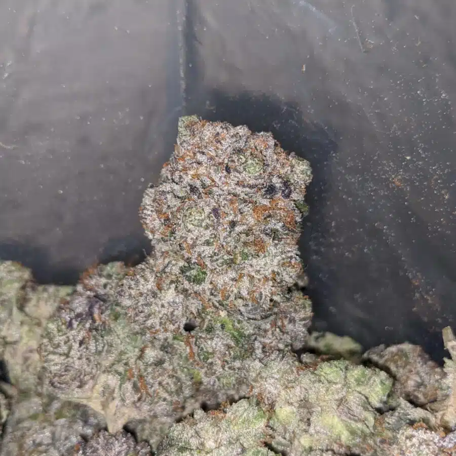 pink death aaaa 4 I $ 147 Oz - Pink Death