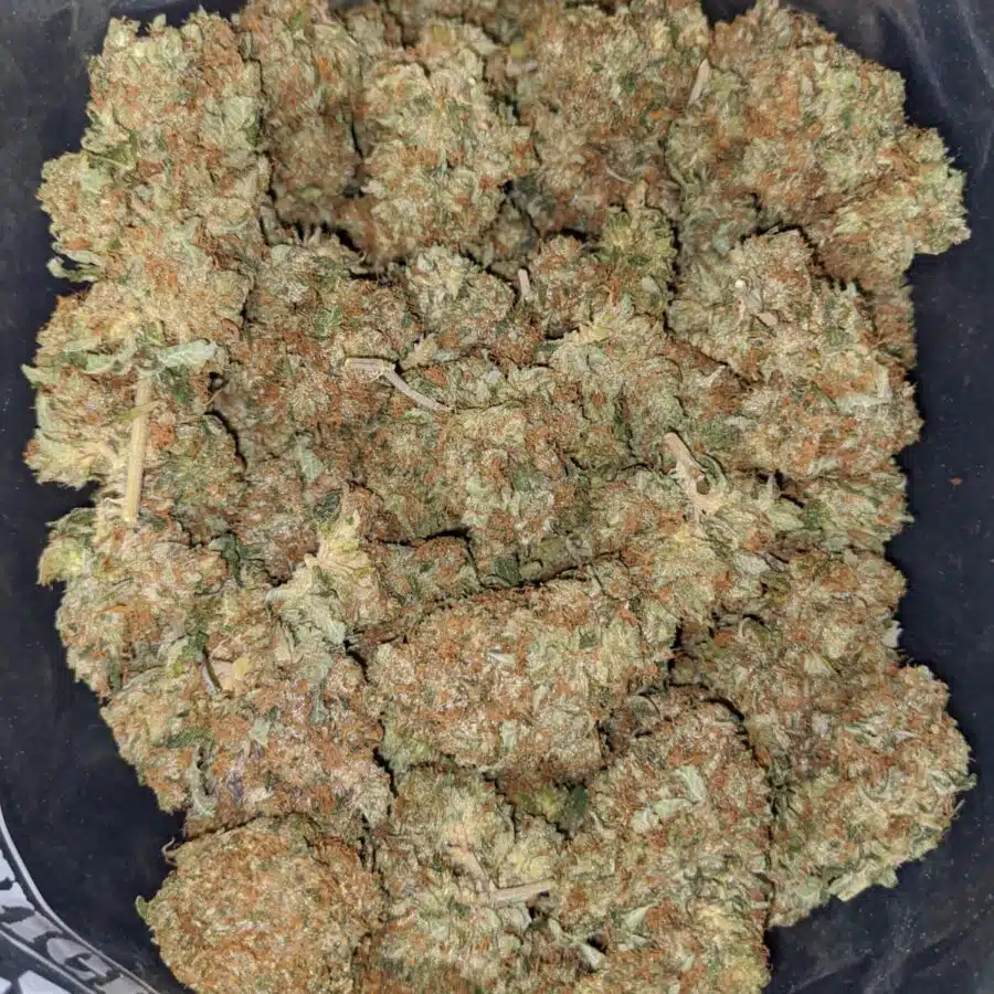 pink og wreck 1 1 I Pink OG Wreck