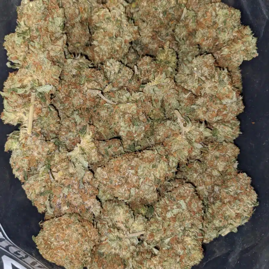 pink og wreck 2 1 I Pink OG Wreck