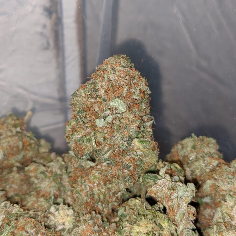 pink og wreck 3 1 I Pink OG Wreck