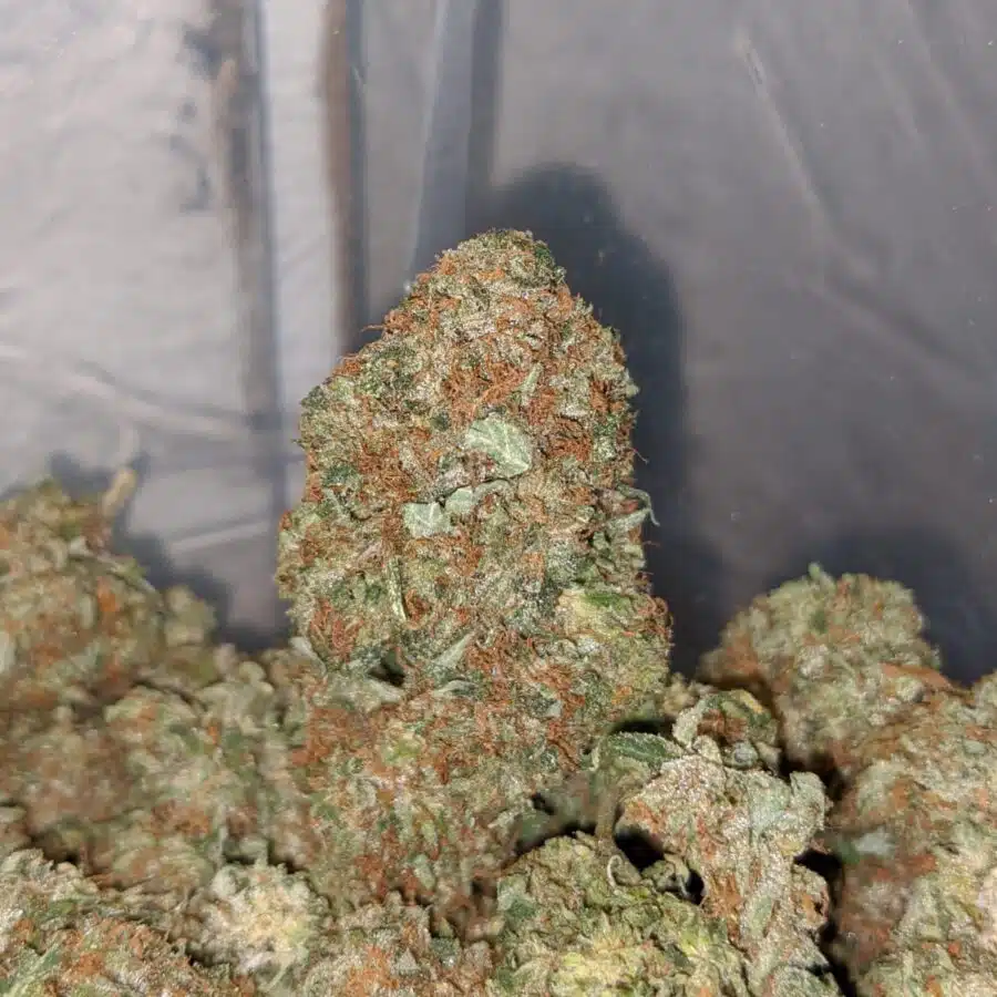 pink og wreck 3 1 I Pink OG Wreck