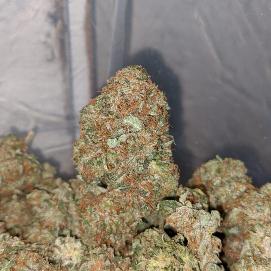 pink og wreck 4 1 I Pink OG Wreck