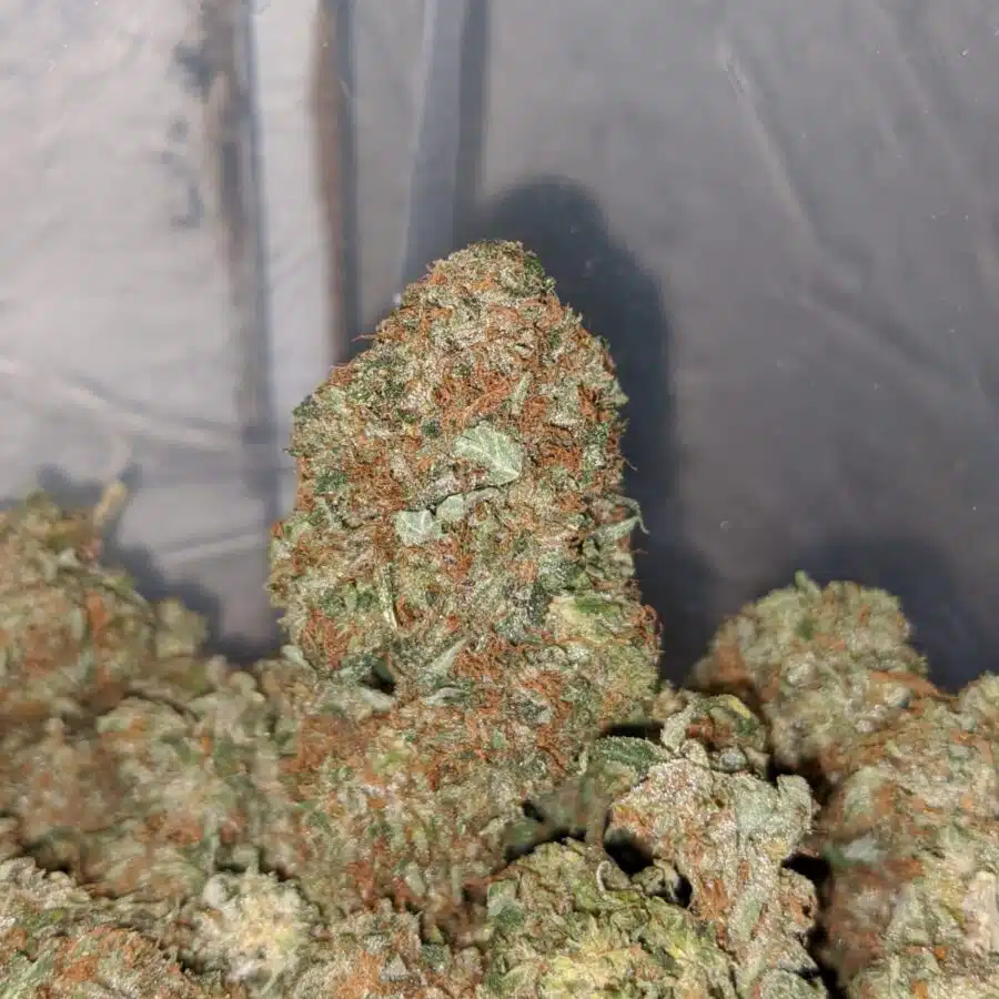 pink og wreck 4 1 I Pink OG Wreck