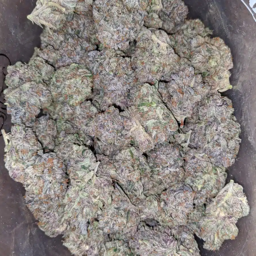 platinum gorilla pink 1 1 I Platinum Gorilla Pink