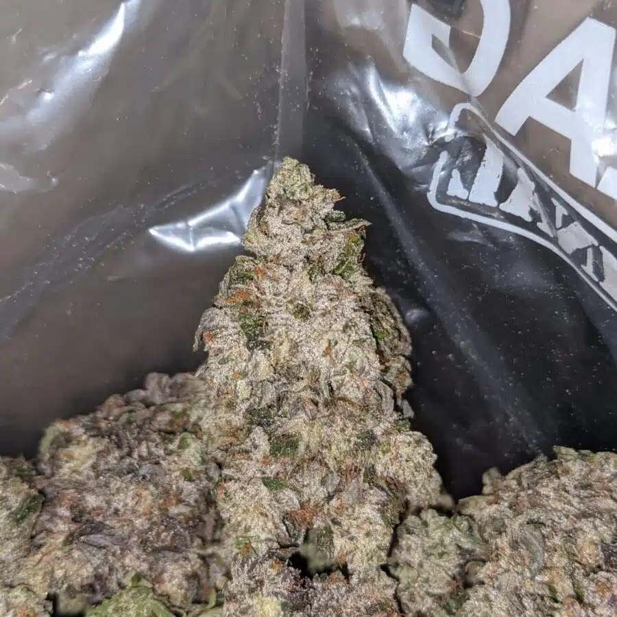 rockstar tuna 3 I $ 135 Oz - Greenfarm Rockstar