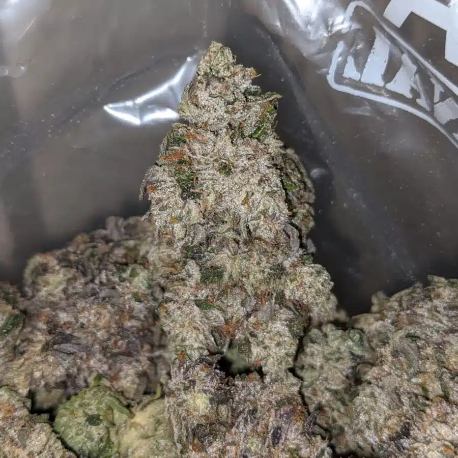 rockstar tuna 4 I $ 135 Oz - Greenfarm Rockstar