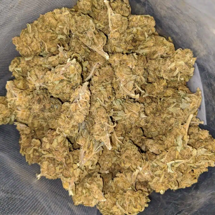 Sour Bubba Bulk Special