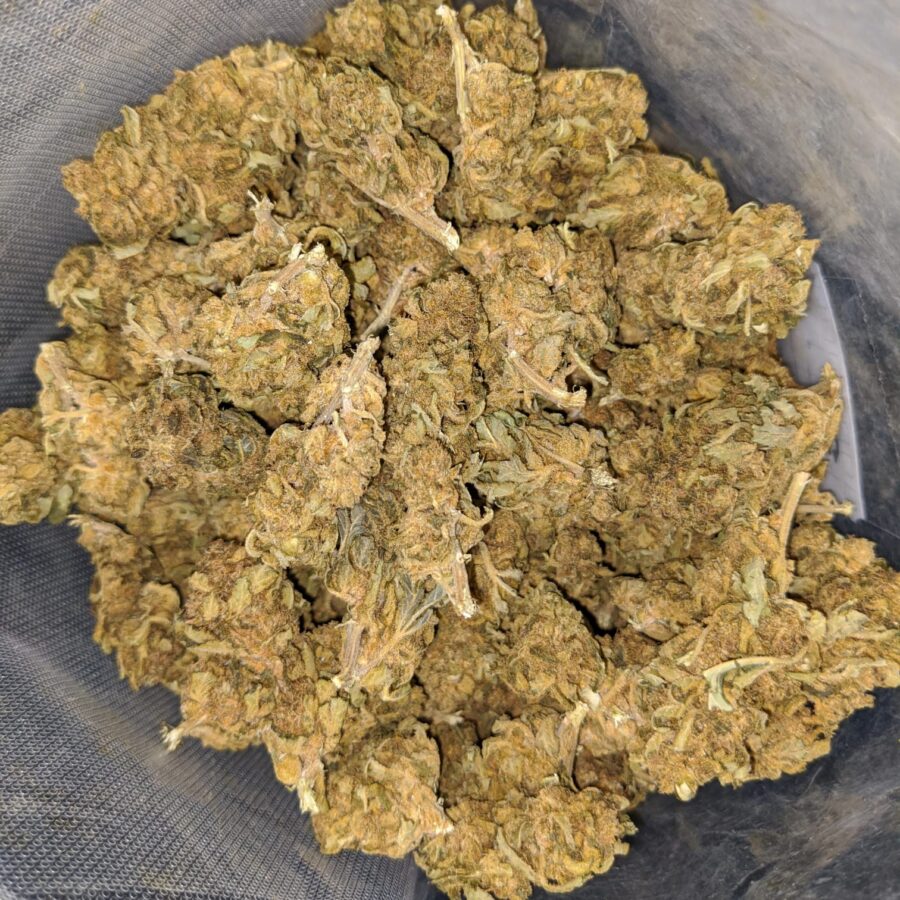 sour bubba bulk special 2 I Sour Bubba Bulk Special