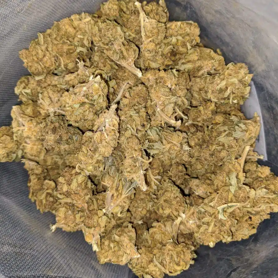 sour bubba bulk special 2 I Sour Bubba Bulk Special