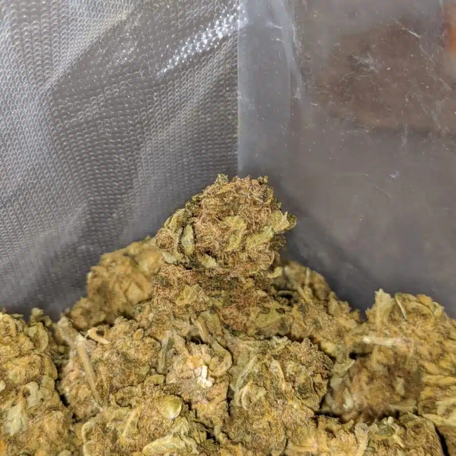 sour bubba bulk special 3 I Sour Bubba Bulk Special