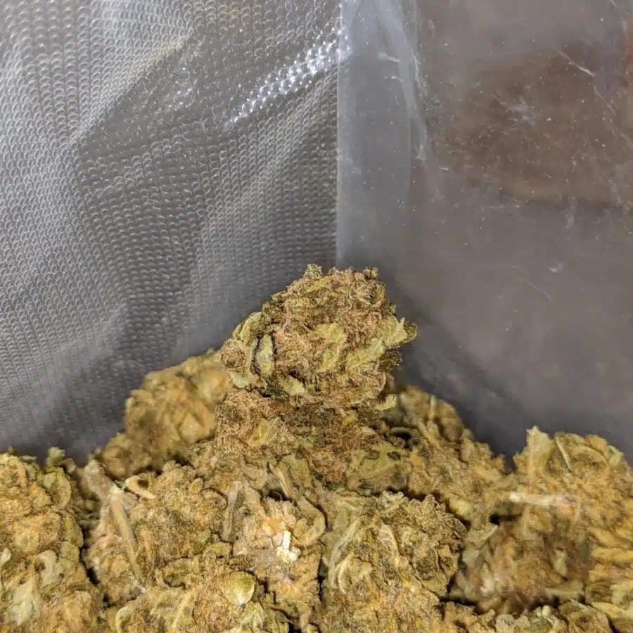 sour bubba bulk special 4 I Sour Bubba Bulk Special