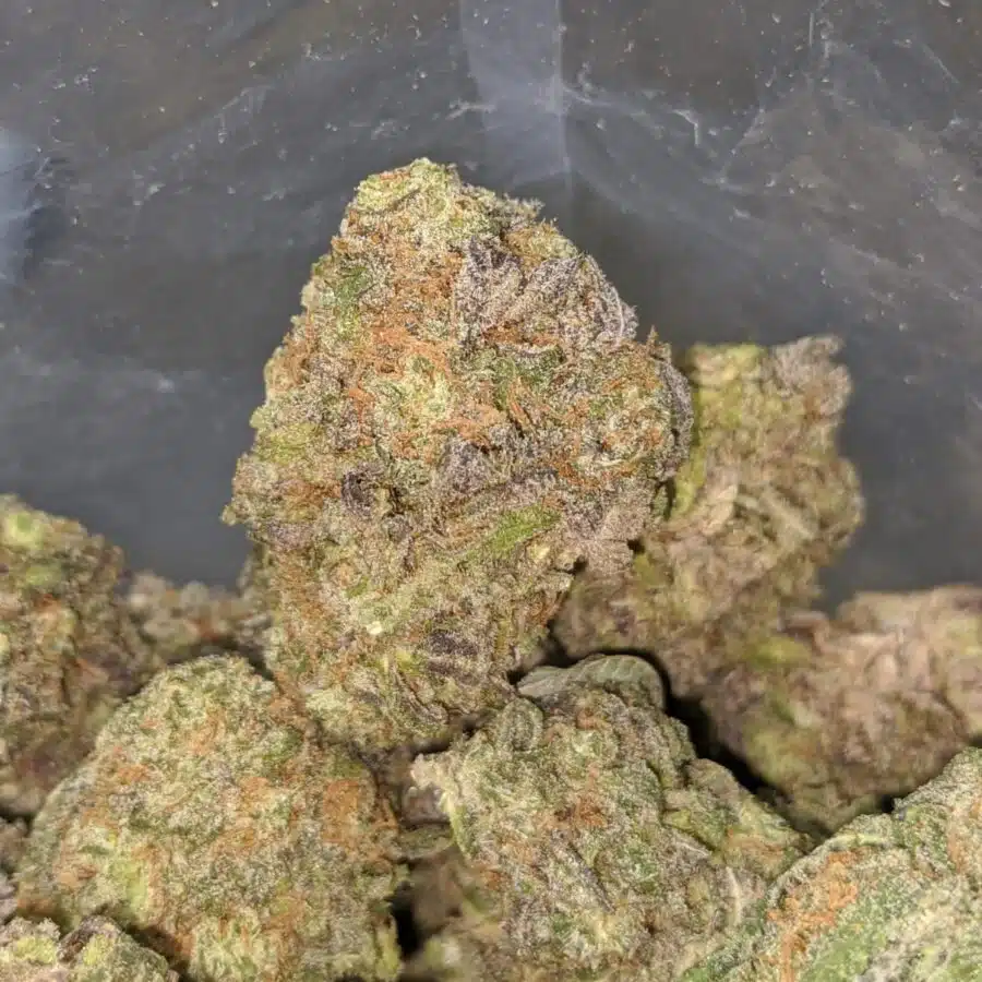 super purple 1 I Super Purple