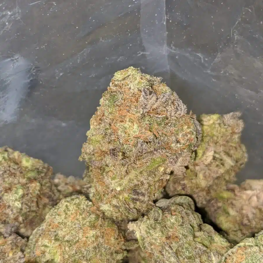 super purple 2 I Super Purple