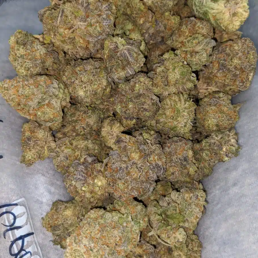 super purple 3 I Super Purple