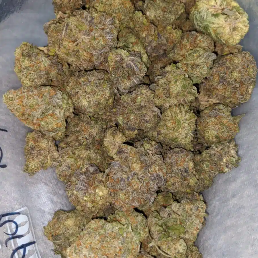 super purple 4 I Super Purple