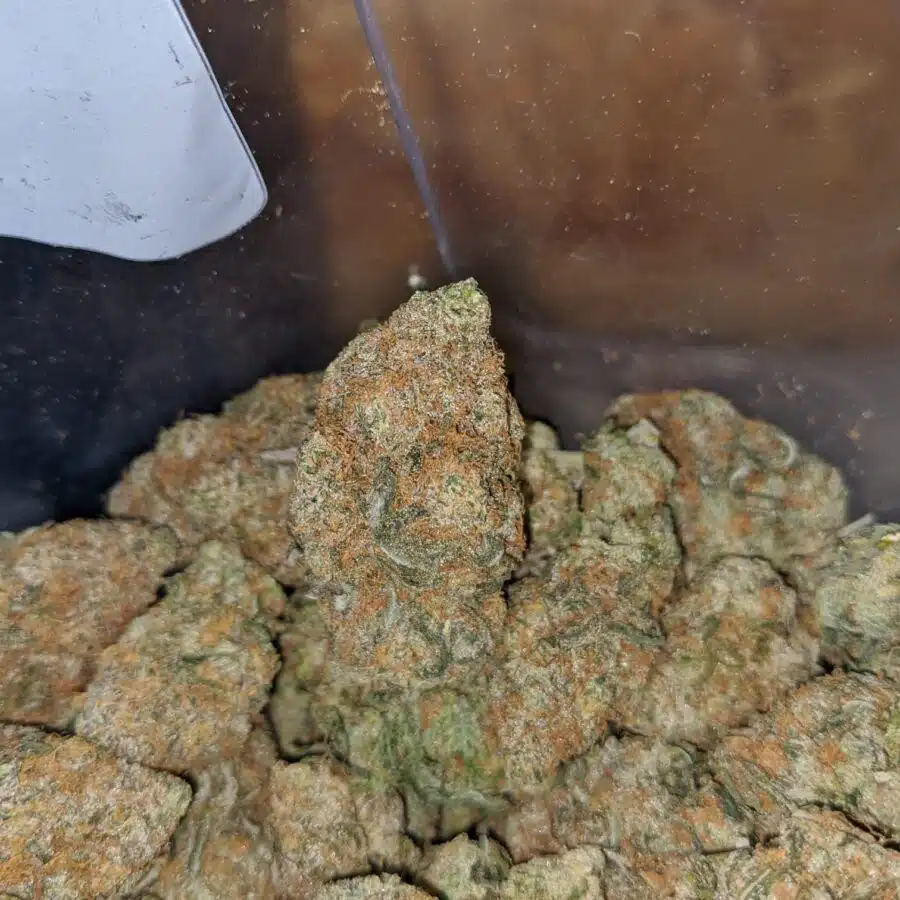 sweet berry 3 I $ 60 Oz - Sweet Berry