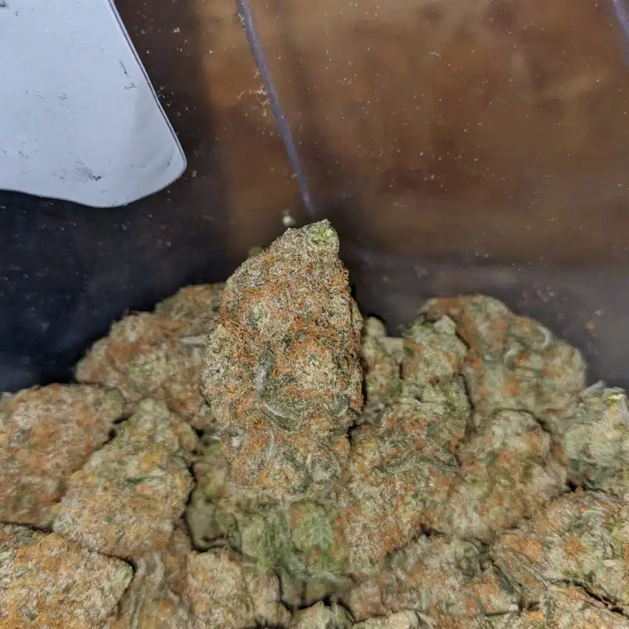 sweet berry 4 I $ 60 Oz - Sweet Berry