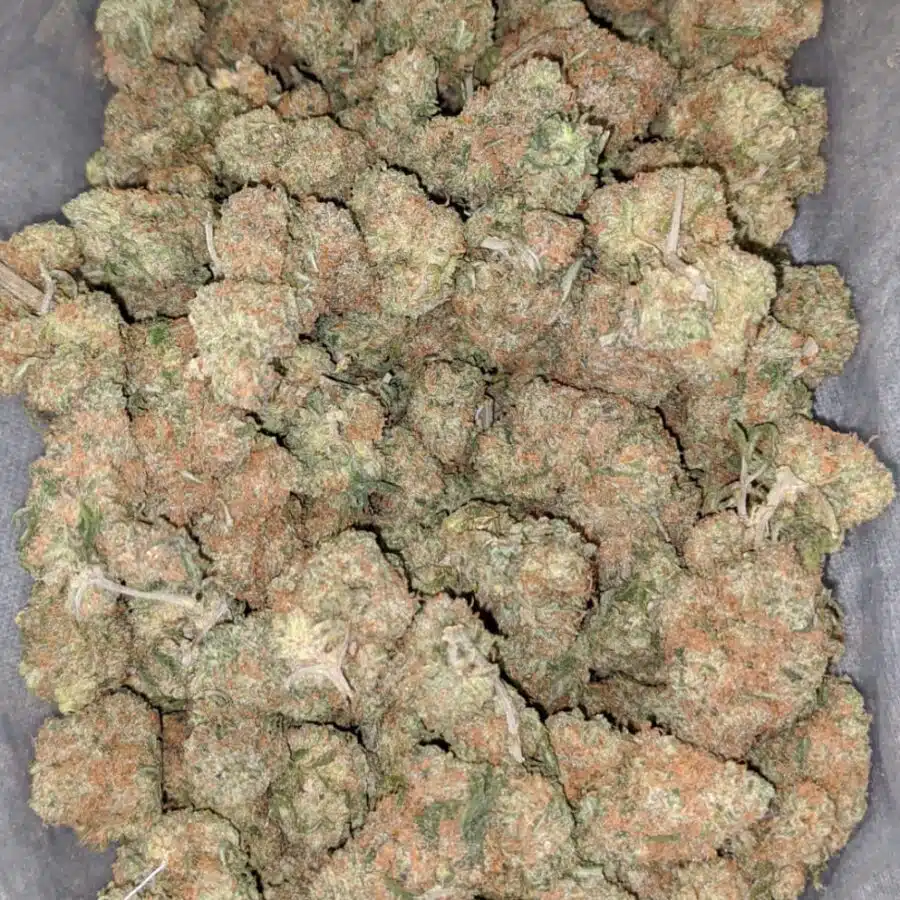 $ 69 Oz - Gelato 45