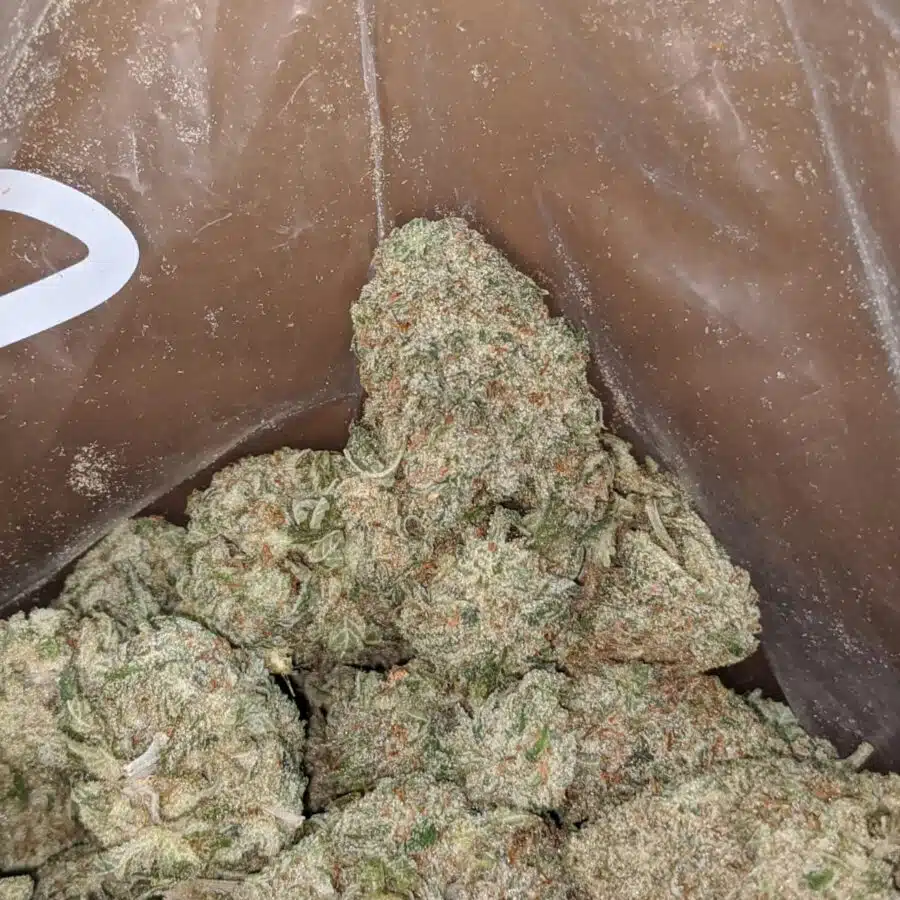 24k gold 1 1 I $ 47 Oz - 24k Gold