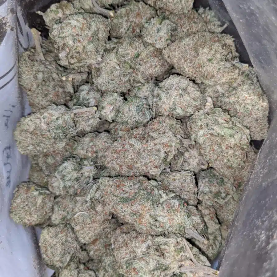 24k gold 2 1 I $ 47 Oz - 24k Gold