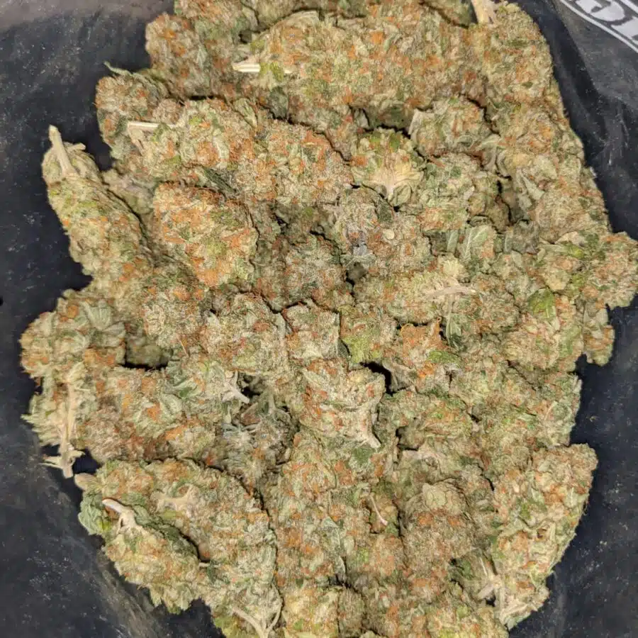 AMNESIA HAZE 2 I $ 63 Oz - Amnesia Haze