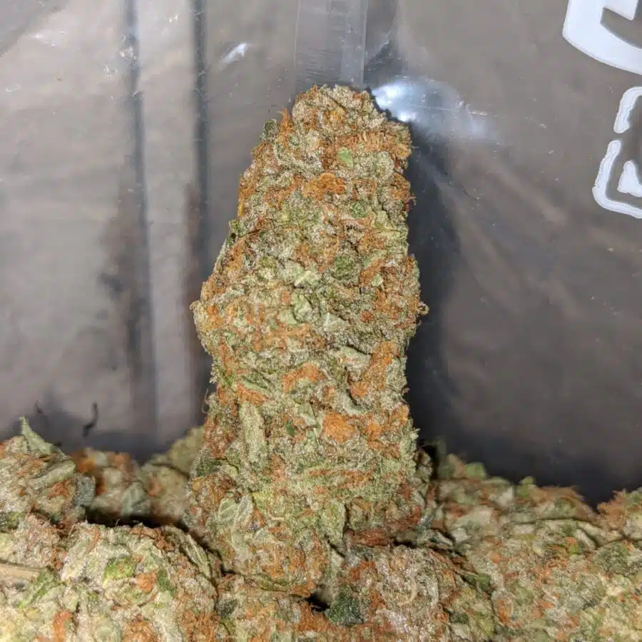 AMNESIA HAZE 3 I $ 63 Oz - Amnesia Haze