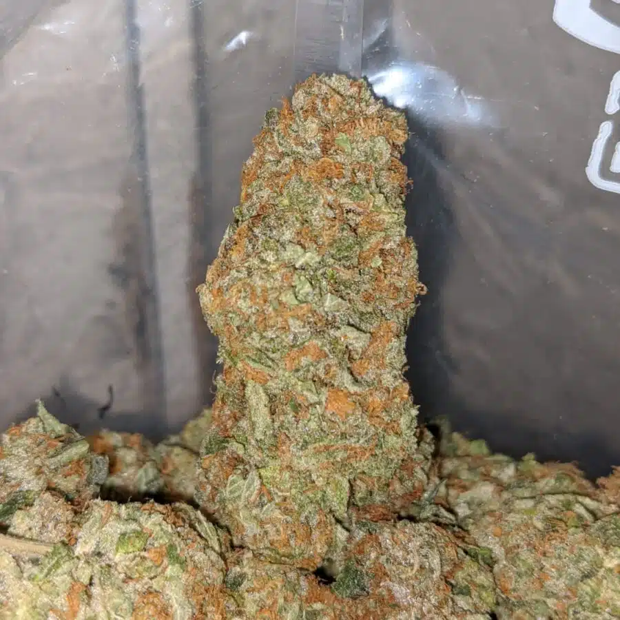 AMNESIA HAZE 4 I $ 63 Oz - Amnesia Haze