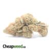 Berry Gelato (Smalls) - *Deal Of The Day*
