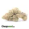 Berry Gelato (Smalls) - *Deal Of The Day*