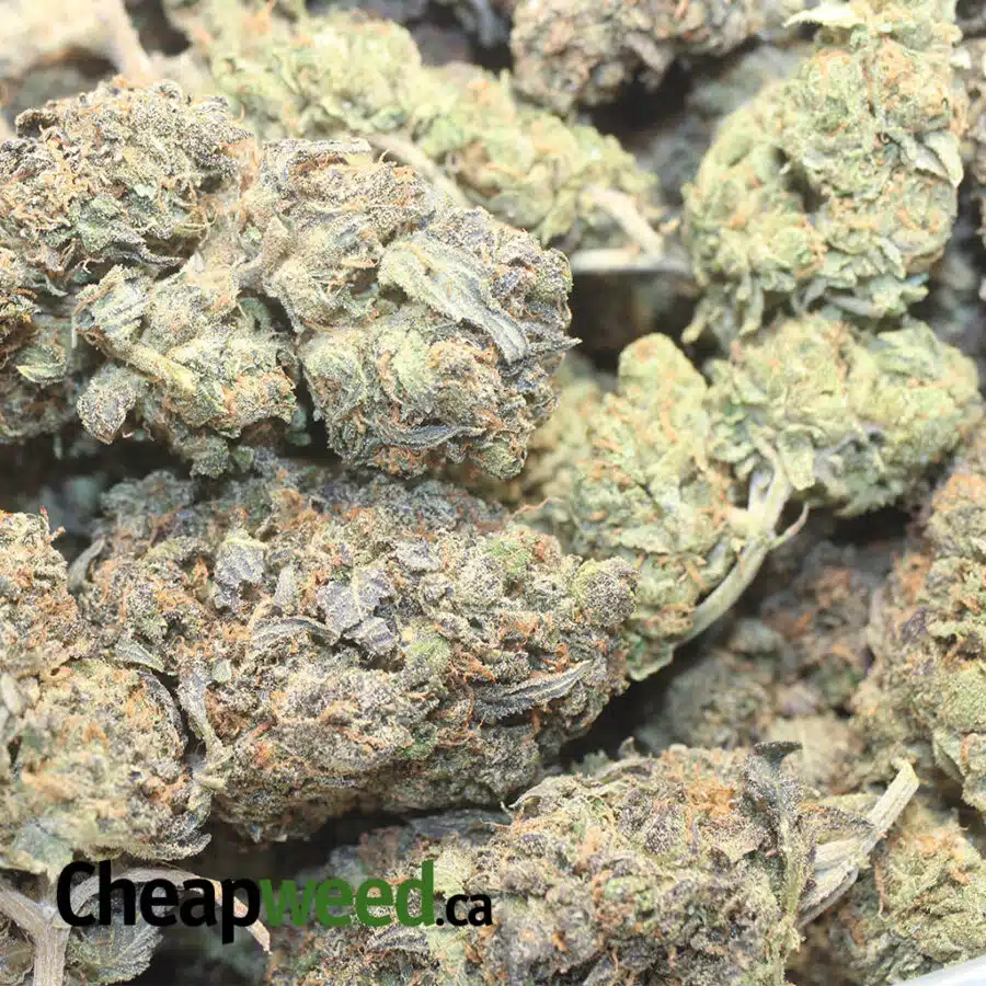 BDAY CAKE 1 I Purple Kandy