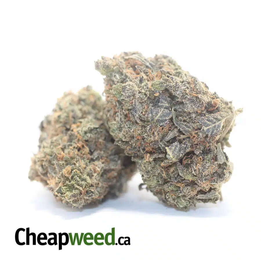 Alternative view of Purple Kandy