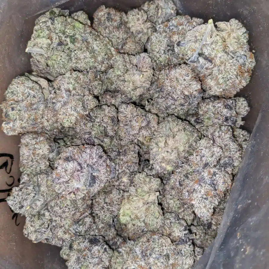 Bubba Og 2 I Bubba OG