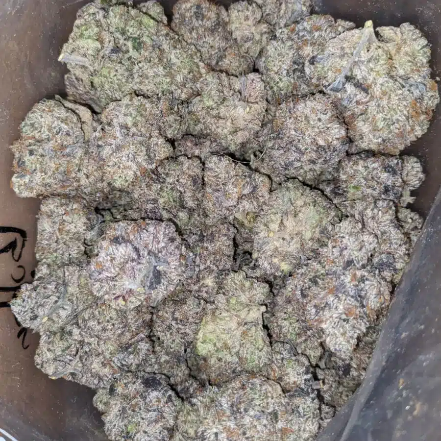 Bubba Og 3 I Bubba OG